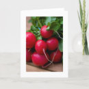 Search for radish cards Vegetable