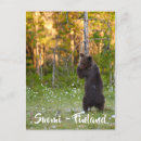 Search for finnish postcards Suomi