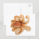 Search for aquatic postcards Marine biology