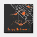 Search for spiders magnets Orange