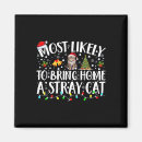 Search for stray magnets Home
