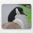 Search for canadian mousepads Goose