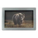Search for bear belt buckles wildlife