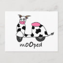 Search for cartoon bull postcards Fun