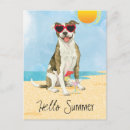 Search for pitbulls postcards Pittie