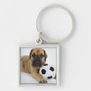 Search for great dane key rings Puppy