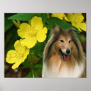 Search for sable art Animal