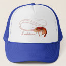 Search for shrimp hats Crustacean