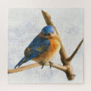 Search for bluebird puzzles Cute