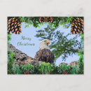 Search for bald eagle christmas cards Animal
