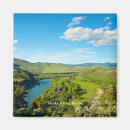 Search for snakes magnets Landscape