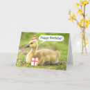 Search for goose birthday cards Gosling