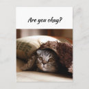 Search for funny thinking of you postcards Pun