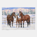 Search for foal Cute foal