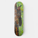 Search for squirrel skateboards Nature