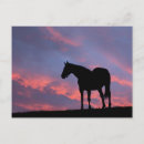 Search for thoroughbred postcards Ranch