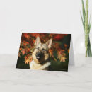 Search for dog panting cards German shepherd