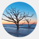 Search for botany stickers Environment