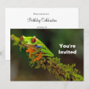 Search for tree frog invitations Amphibian