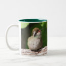 Search for ear mugs Wildlife