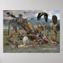 Search for hawks art Falcons