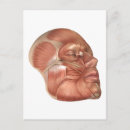 Search for human face postcards Human body parts