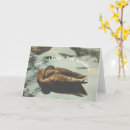 Search for belated birthday cards Duck