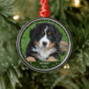 Search for holiday pet memorial ornaments Snowflakes