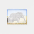 Search for trunk cards invites Bush