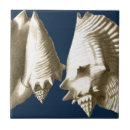 Search for seashell tiles Sea life