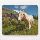 Search for hart electronics Ranch