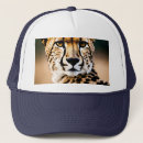 Search for predators photography Wild cat