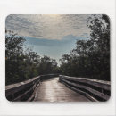 Search for boardwalk electronics Nature