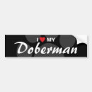 Search for doberman bumper stickers Breed