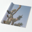 Search for sunlight wrapping paper Green