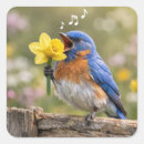 Search for yellow daffodils stickers Narcissus