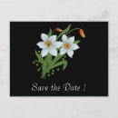Search for daffodil save the dates Narcissus