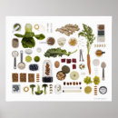 Search for healthy food posters Food and drink