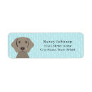 Search for weimaraner return address labels Blue