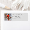 Search for red cardinal return address labels Simple