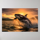 Search for killer orca posters Fin
