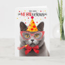 Search for british shorthair cards Pets