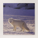 Search for arctic fox puzzles Vulpes lagopus