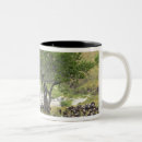 Search for wildebeest mugs Migration
