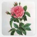 Search for rosa stickers 19th