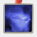 Search for transparent christmas tree decorations Body