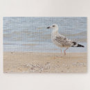 Search for gull puzzles Beach