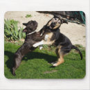 Search for dog fight mousepads Fighting