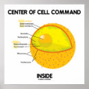 Search for cell biology posters Nucleus