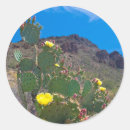 Search for arizona cactus stickers Saguaro national park